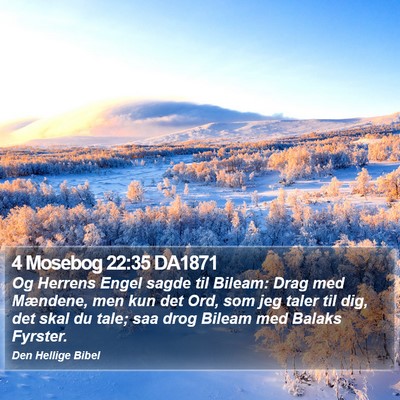 4 Mosebog 22:35 DA1871 Bible Verse Image