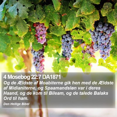 4 Mosebog 22:7 DA1871 Bible Verse Image