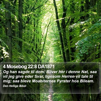 4 Mosebog 22:8 DA1871 Bible Verse Image