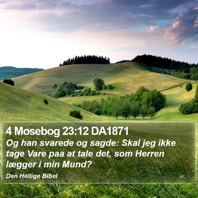 4 Mosebog 23:12 DA1871 Bible Verse Image
