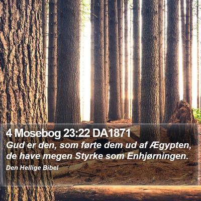 4 Mosebog 23:22 DA1871 Bible Verse Image