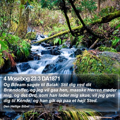 4 Mosebog 23:3 DA1871 Bible Verse Image
