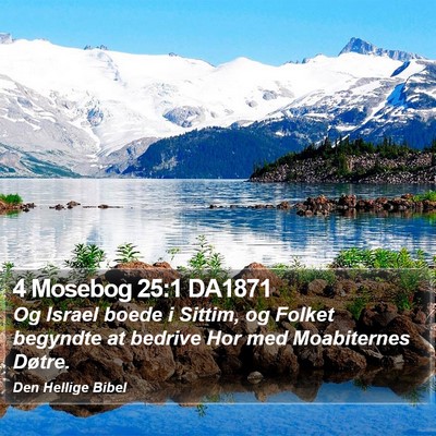 4 Mosebog 25:1 DA1871 Bible Verse Image