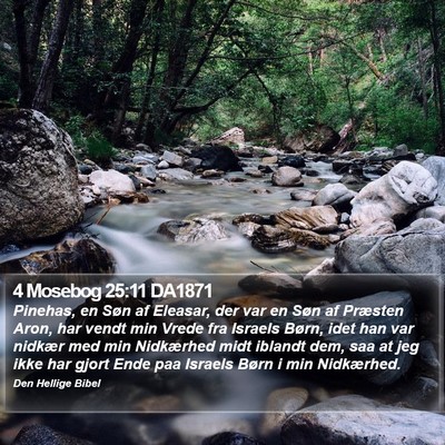 4 Mosebog 25:11 DA1871 Bible Verse Image