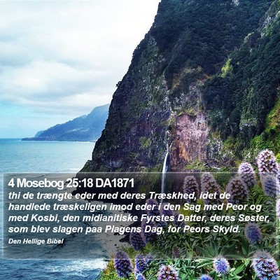 4 Mosebog 25:18 DA1871 Bible Verse Image