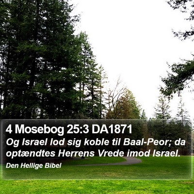 4 Mosebog 25:3 DA1871 Bible Verse Image