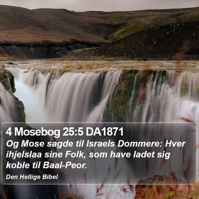 4 Mosebog 25:5 DA1871 Bible Verse Image