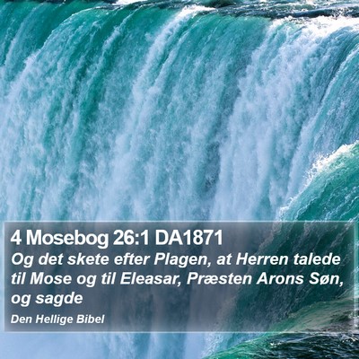 4 Mosebog 26:1 DA1871 Bible Verse Image