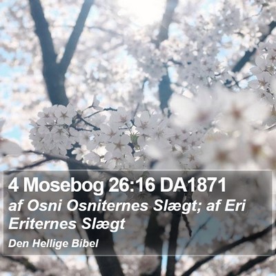 4 Mosebog 26:16 DA1871 Bible Verse Image