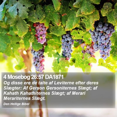 4 Mosebog 26:57 DA1871 Bible Verse Image