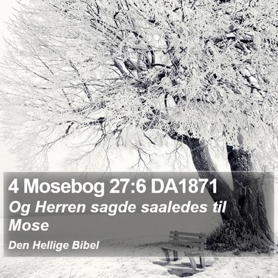 4 Mosebog 27:6 DA1871 Bible Verse Image