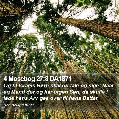 4 Mosebog 27:8 DA1871 Bible Verse Image
