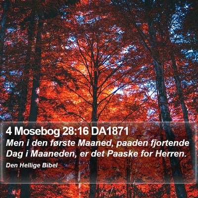4 Mosebog 28:16 DA1871 Bible Verse Image