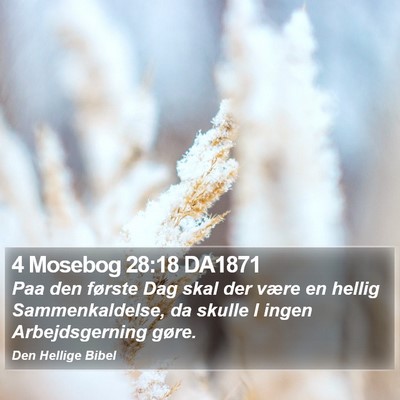 4 Mosebog 28:18 DA1871 Bible Verse Image