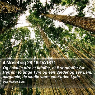 4 Mosebog 28:19 DA1871 Bible Verse Image