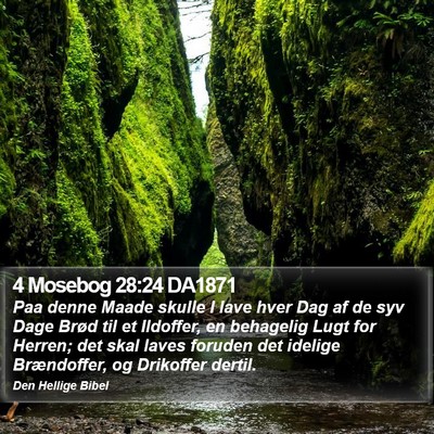 4 Mosebog 28:24 DA1871 Bible Verse Image