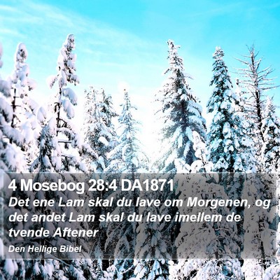 4 Mosebog 28:4 DA1871 Bible Verse Image