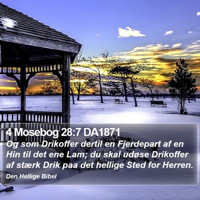 4 Mosebog 28:7 DA1871 Bible Verse Image