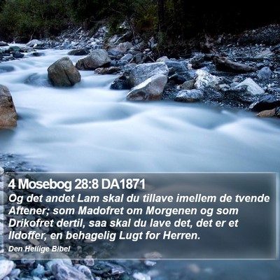 4 Mosebog 28:8 DA1871 Bible Verse Image