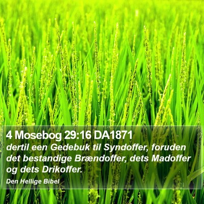4 Mosebog 29:16 DA1871 Bible Verse Image