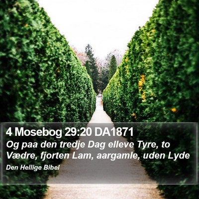 4 Mosebog 29:20 DA1871 Bible Verse Image