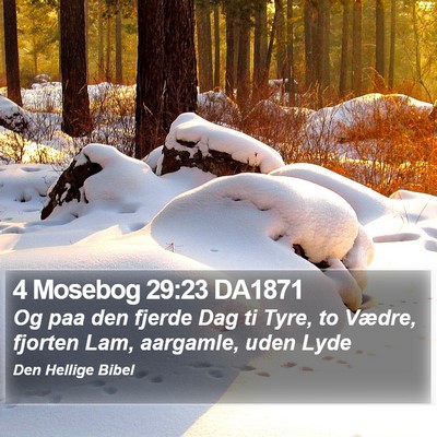 4 Mosebog 29:23 DA1871 Bible Verse Image