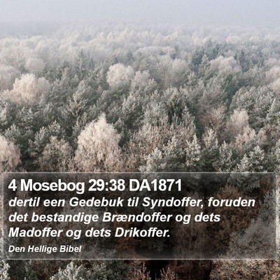 4 Mosebog 29:38 DA1871 Bible Verse Image