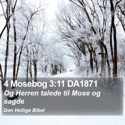 4 Mosebog 3:11 DA1871 Bible Verse Image