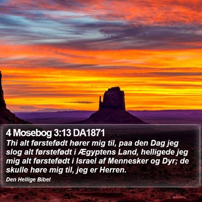 4 Mosebog 3:13 DA1871 Bible Verse Image