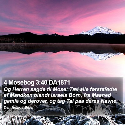 4 Mosebog 3:40 DA1871 Bible Verse Image