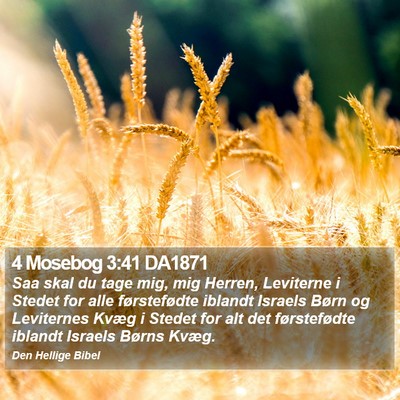 4 Mosebog 3:41 DA1871 Bible Verse Image
