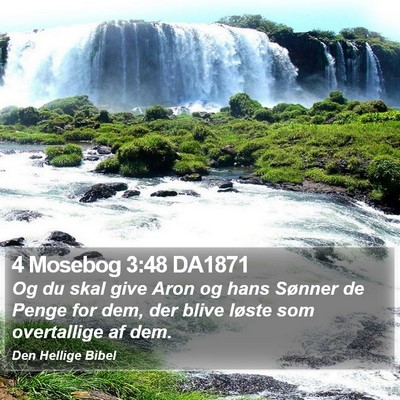 4 Mosebog 3:48 DA1871 Bible Verse Image