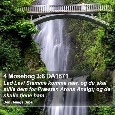 4 Mosebog 3:6 DA1871 Bible Verse Image