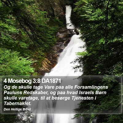 4 Mosebog 3:8 DA1871 Bible Verse Image