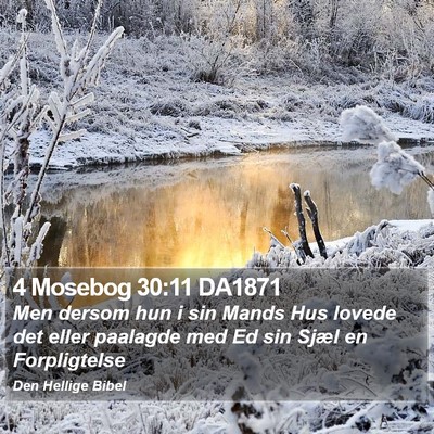 4 Mosebog 30:11 DA1871 Bible Verse Image