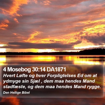 4 Mosebog 30:14 DA1871 Bible Verse Image