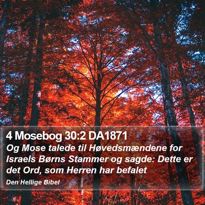 4 Mosebog 30:2 DA1871 Bible Verse Image