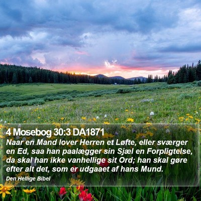 4 Mosebog 30:3 DA1871 Bible Verse Image