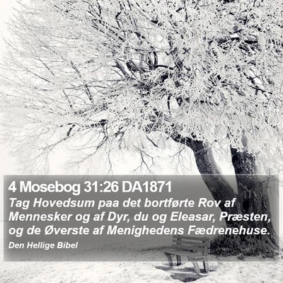 4 Mosebog 31:26 DA1871 Bible Verse Image