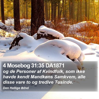 4 Mosebog 31:35 DA1871 Bible Verse Image
