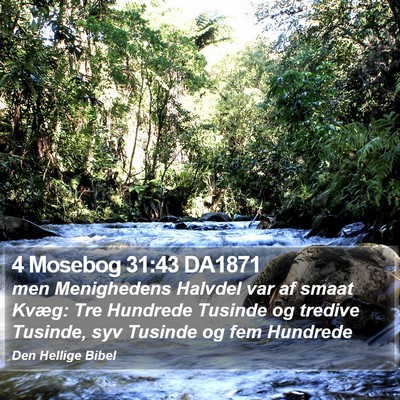 4 Mosebog 31:43 DA1871 Bible Verse Image