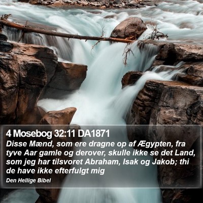 4 Mosebog 32:11 DA1871 Bible Verse Image
