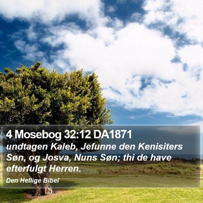 4 Mosebog 32:12 DA1871 Bible Verse Image