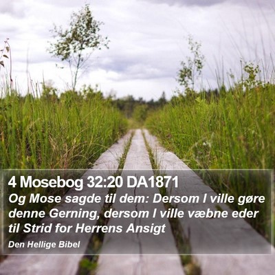 4 Mosebog 32:20 DA1871 Bible Verse Image