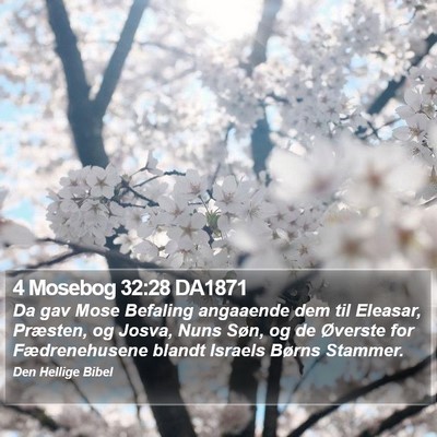 4 Mosebog 32:28 DA1871 Bible Verse Image