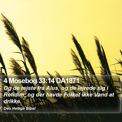 4 Mosebog 33:14 DA1871 Bible Verse Image