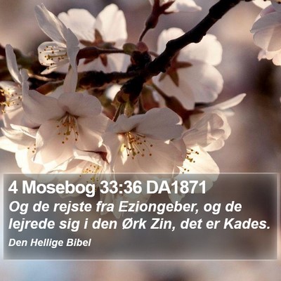 4 Mosebog 33:36 DA1871 Bible Verse Image
