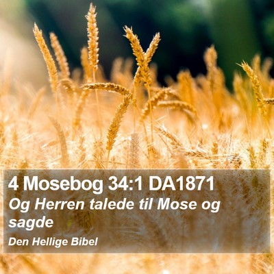 4 Mosebog 34:1 DA1871 Bible Verse Image