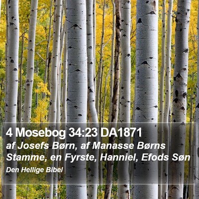 4 Mosebog 34:23 DA1871 Bible Verse Image