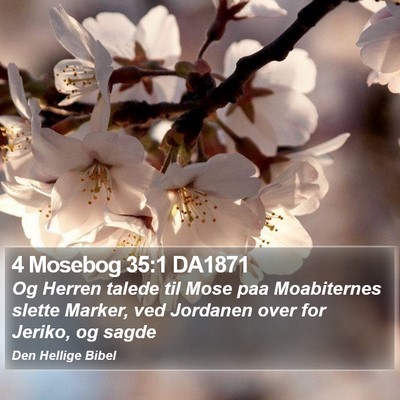 4 Mosebog 35:1 DA1871 Bible Verse Image